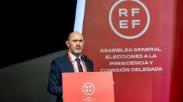 Crisis-hit Spanish football federation elects Louzan as new president