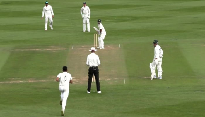 Pakistan Rohail Rohail Nazir, Omair Bin Yousuf guide Pakistan Shaheens to 369-8 on Day ...
