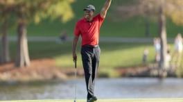 Tiger Woods steps back from Ryder Cup captaincy to focus on health
