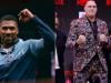 Fury believes Joshua fight collapsed, calls out Usyk